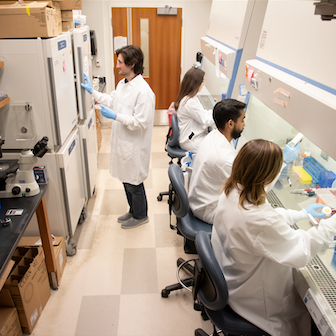 4 scientists working together in a medical lab.